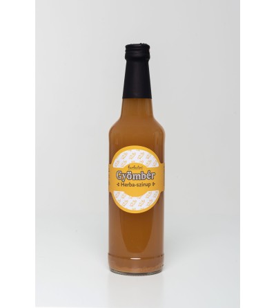 HM Gyömbér szörp/szirup 500ml